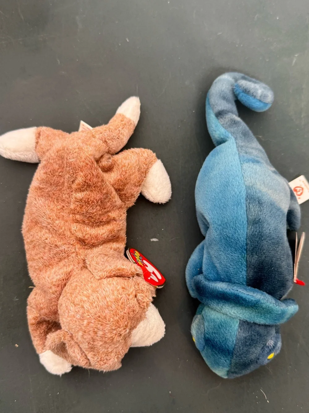 New With Tags TY Beanie Boos - Rainbow Chameleon and Sniffer Dog